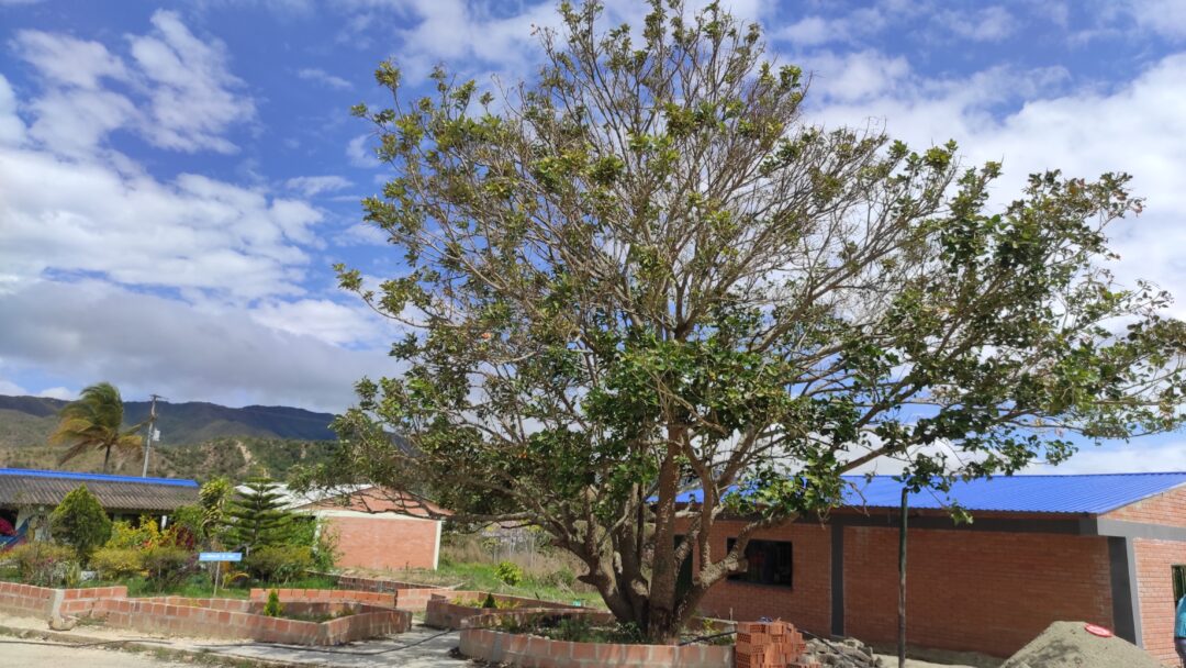 IE Aguas Claras,  un vehículo que conduce la paz a través de la educación como semilla de progreso.