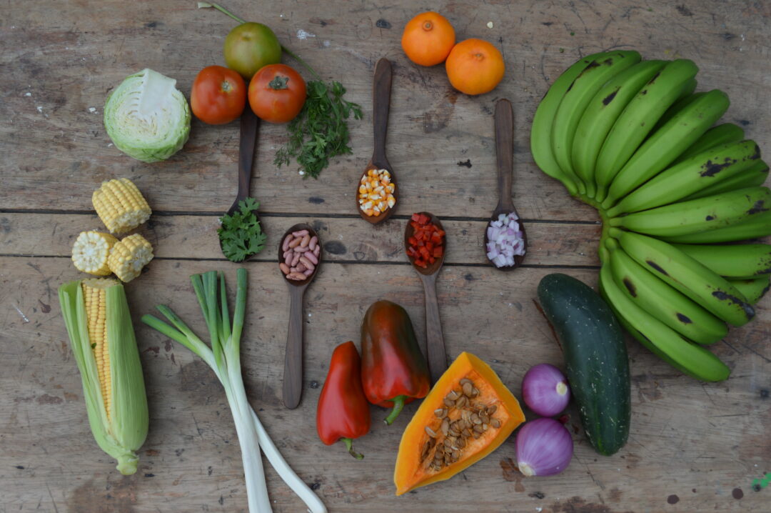 Mesa Agroproductiva un trabajo en red que busca mostrar su capacidad al país