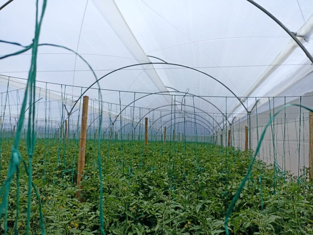 El retorno a la tierra, una forma de sanar las heridas para volver a empezar