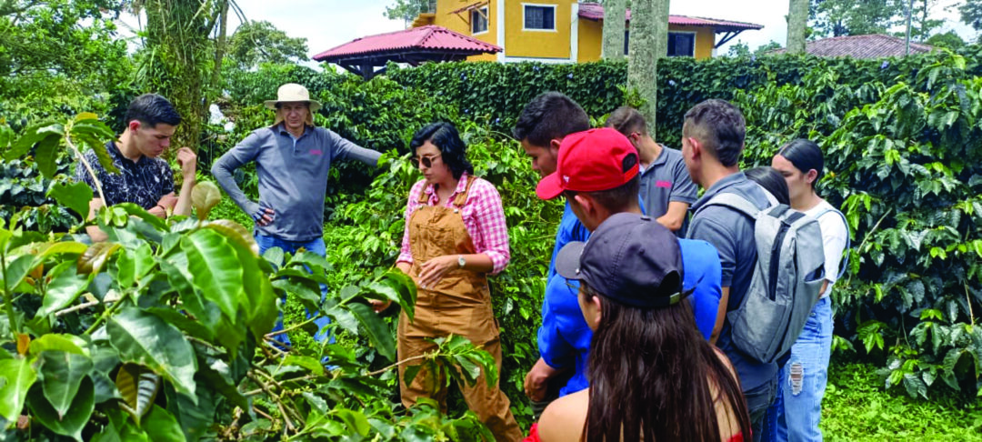 Cafés especiales, un motivo para que jóvenes convencionistas le den aroma a su proyecto de vida