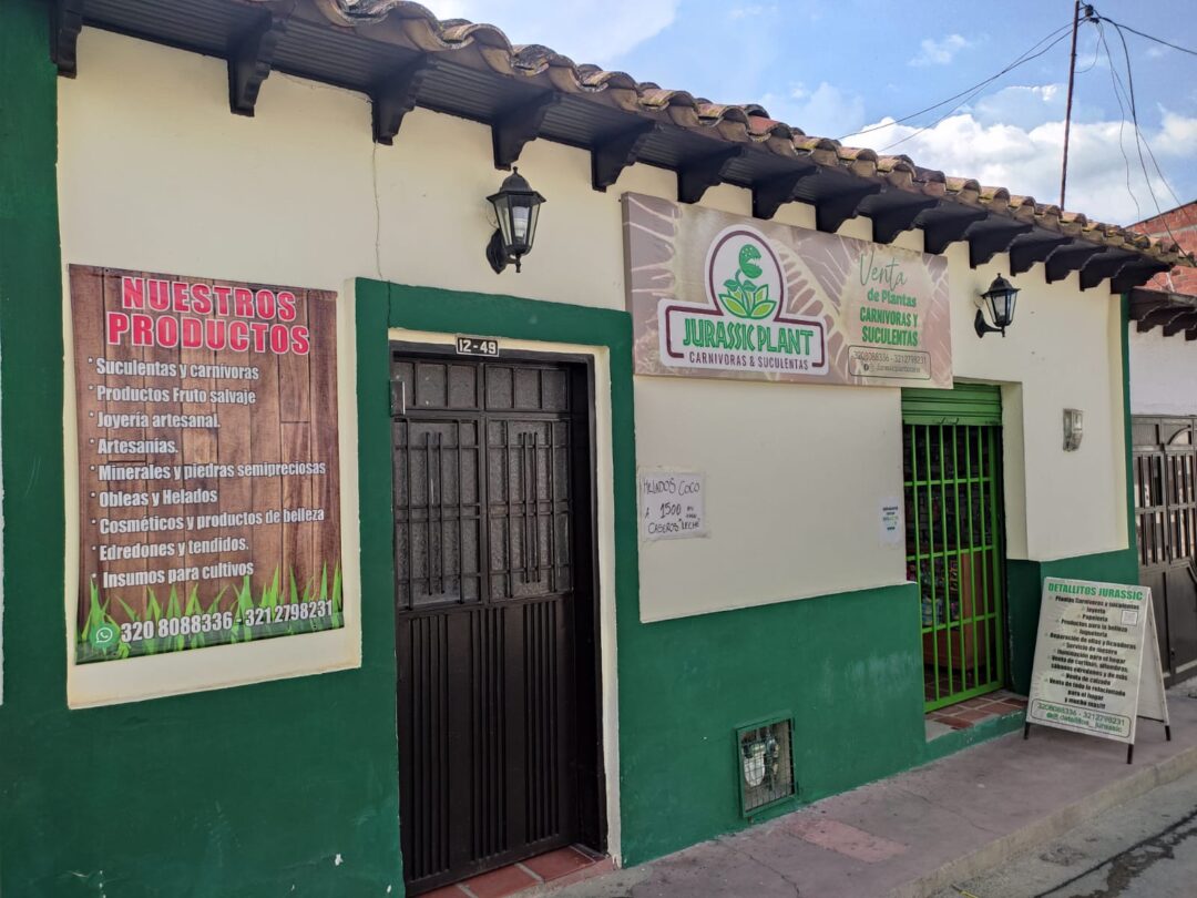 <strong>Una miscelánea que revive el pasado</strong>