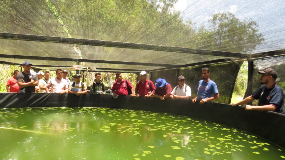 <strong>Campesinos productores como artífices de la transformación del Catatumbo</strong>
