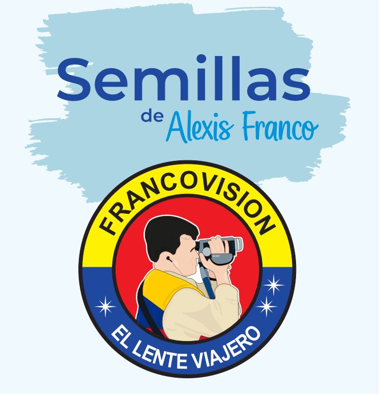 Beca Imaginando Nuestra Imagen