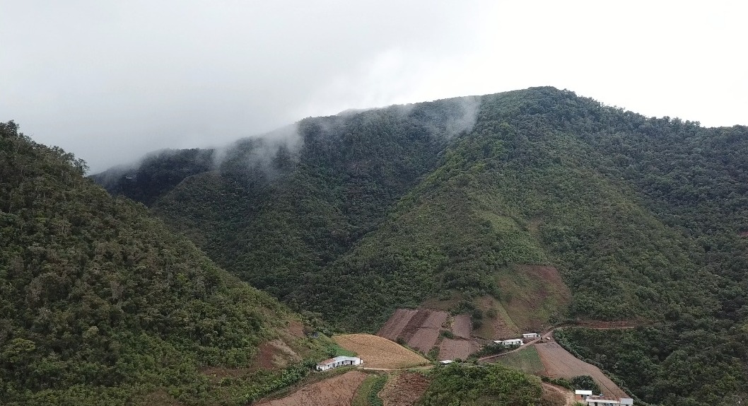 Los Sánchez, una herencia que vive