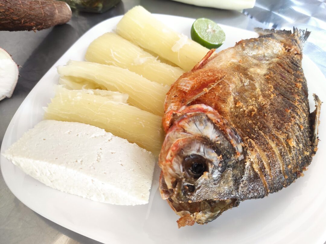 Asoproyuta: la asociación que transforma la yuca del Catatumbo